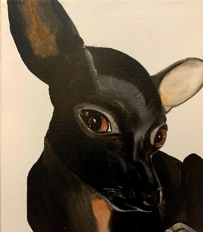 dog