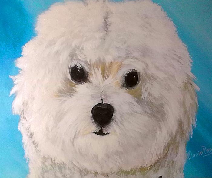 luckydog